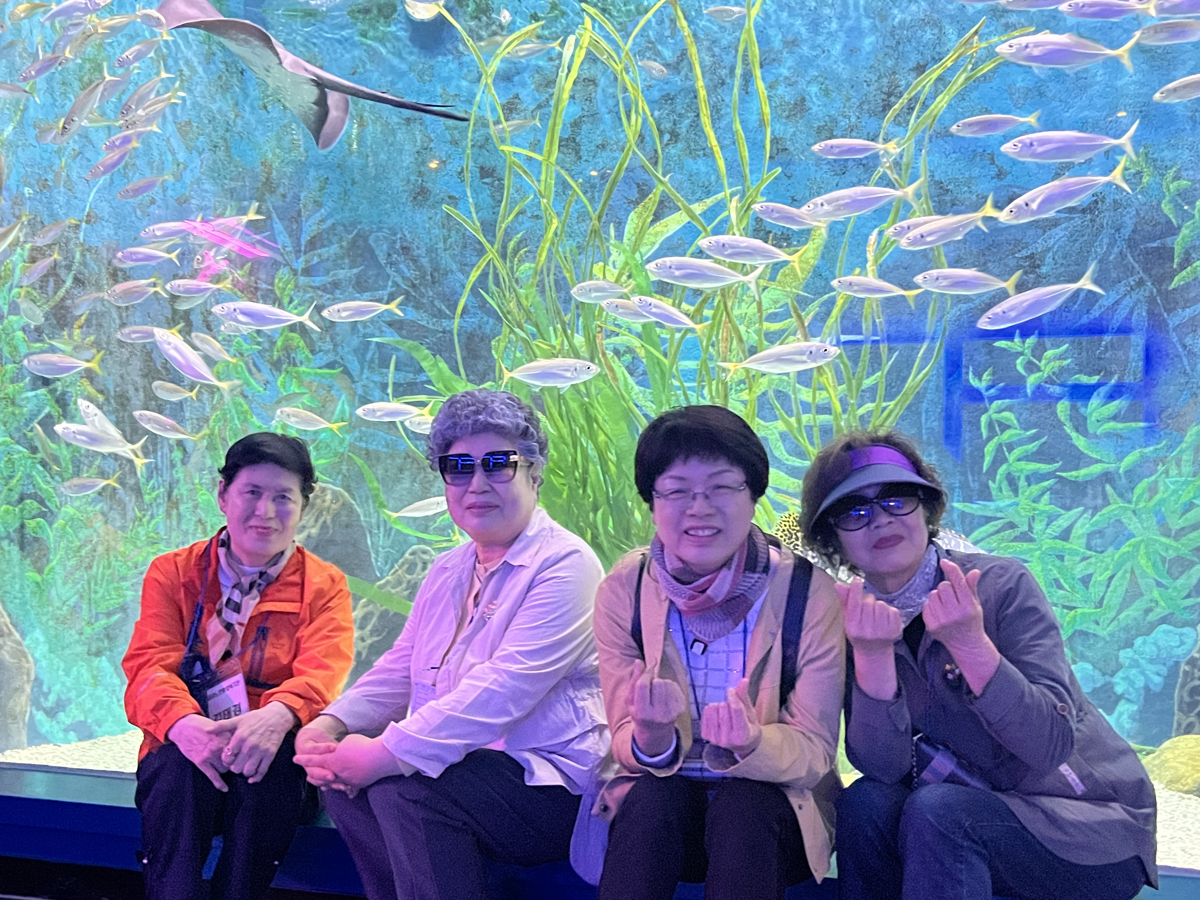 [노인자봉] 노인자원봉사단 지지격려 나들이#4